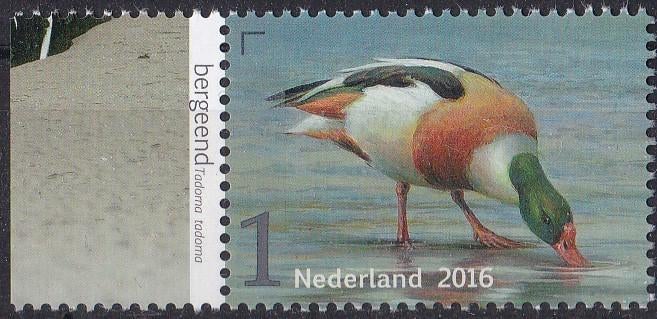 Griend – Bergeend - MNH - NVPH 3403, Verzenden, Na 1940, Postfris
