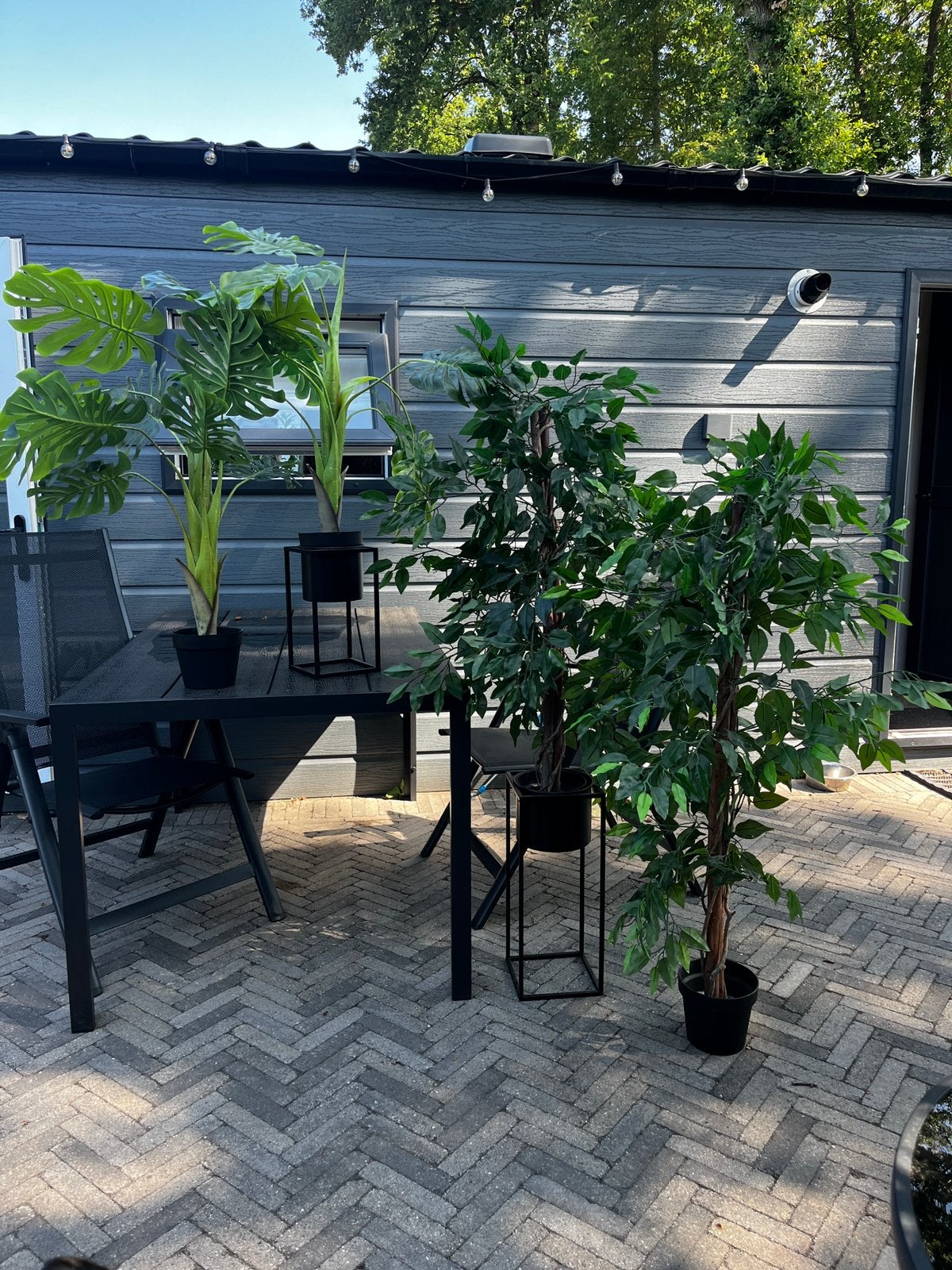 4 stuks mooie grote kunstplanten, Ophalen, Bloeit niet, Halfschaduw, Overige soorten