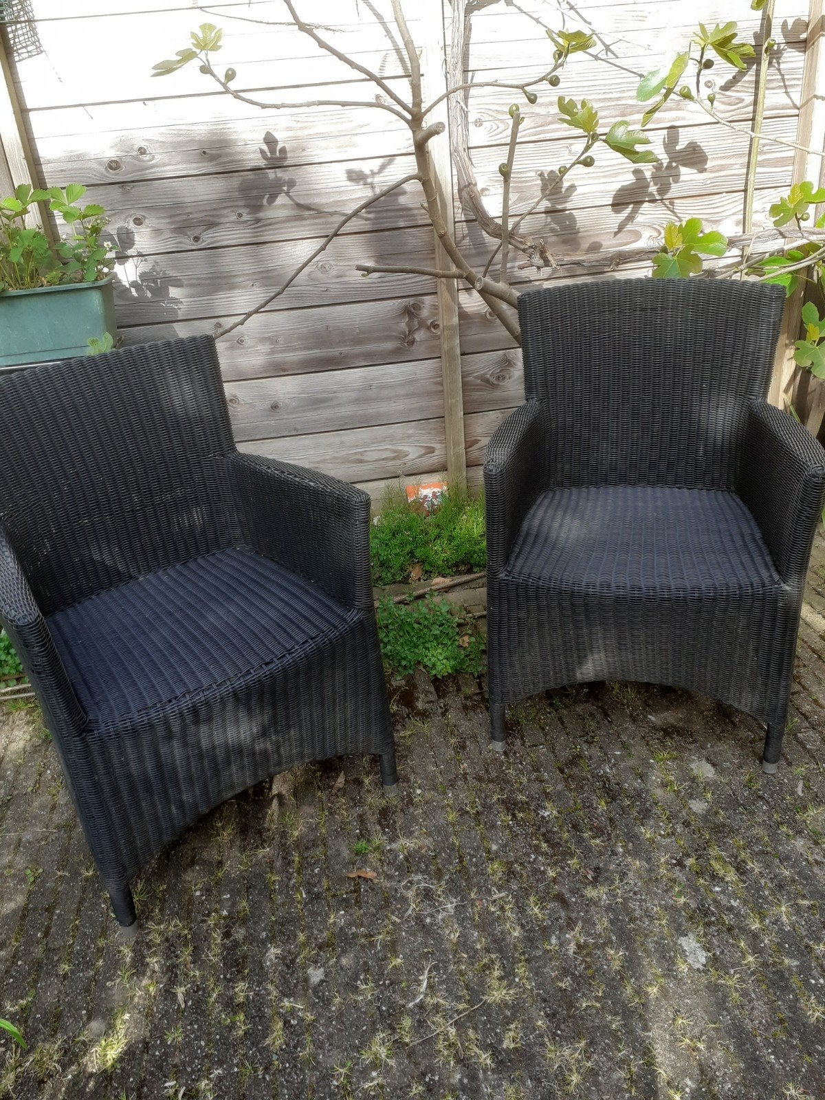 2 mooie rieten stoelen voor tuin of balkon, Tuin en Terras, Tuinstoelen, Ophalen, Zo goed als nieuw, Rotan