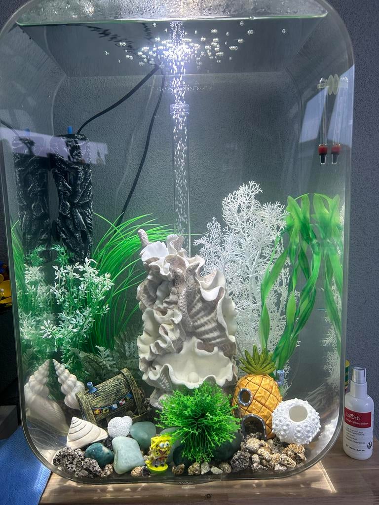 Biorb transparant 60l MCR (over compleet), Ophalen, Gebruikt, Leeg aquarium