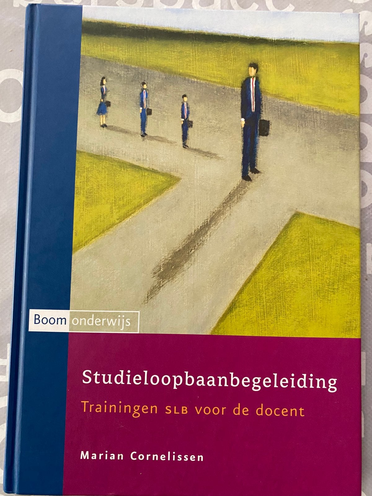Studieloopbaanbegeleiding Trainingen SLB voor de docent, Boeken, Ophalen of Verzenden, Alpha, Nieuw, HBO