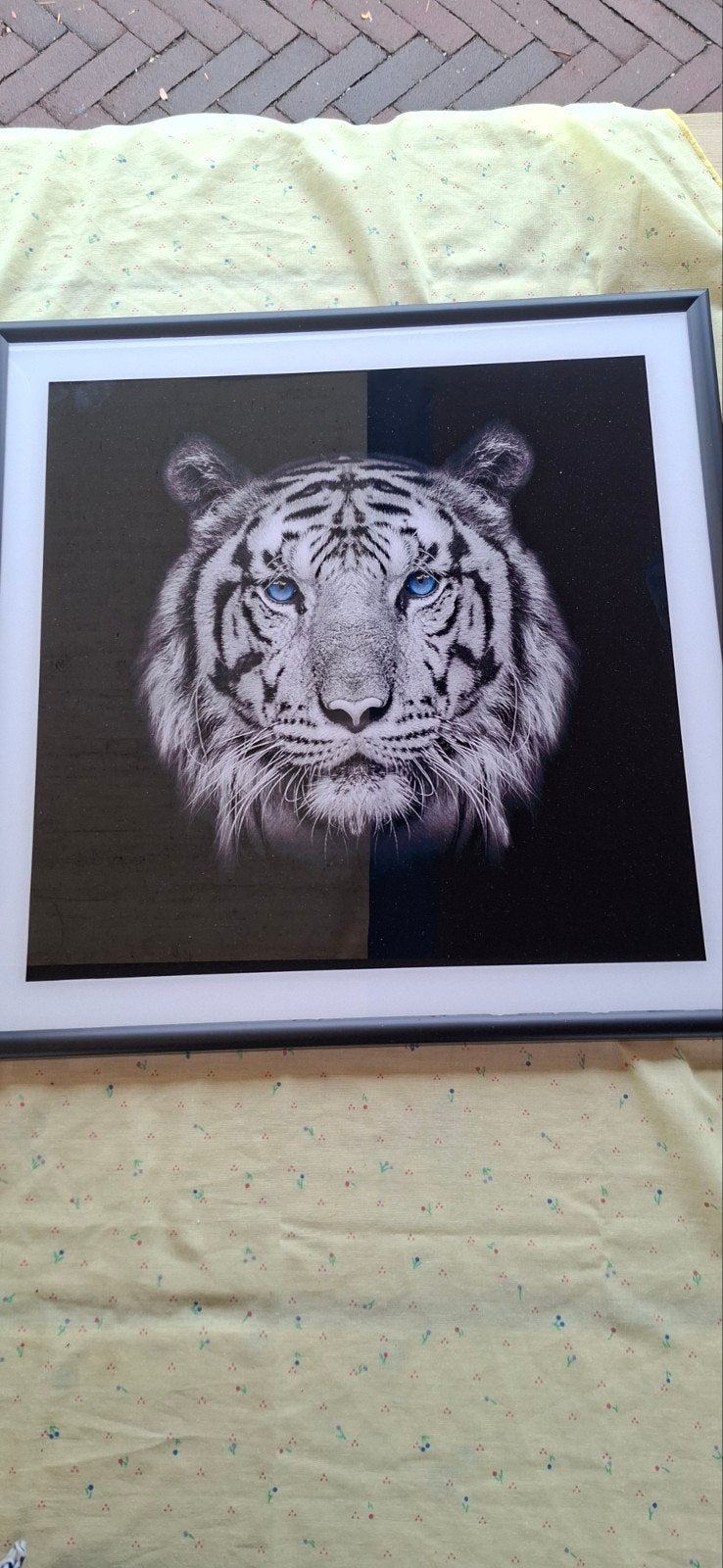 Zwart-wit tijger schilderij/foto met lijst (50x50 cm), Ophalen, 50 – 75, Zo goed als nieuw, Foto of Poster