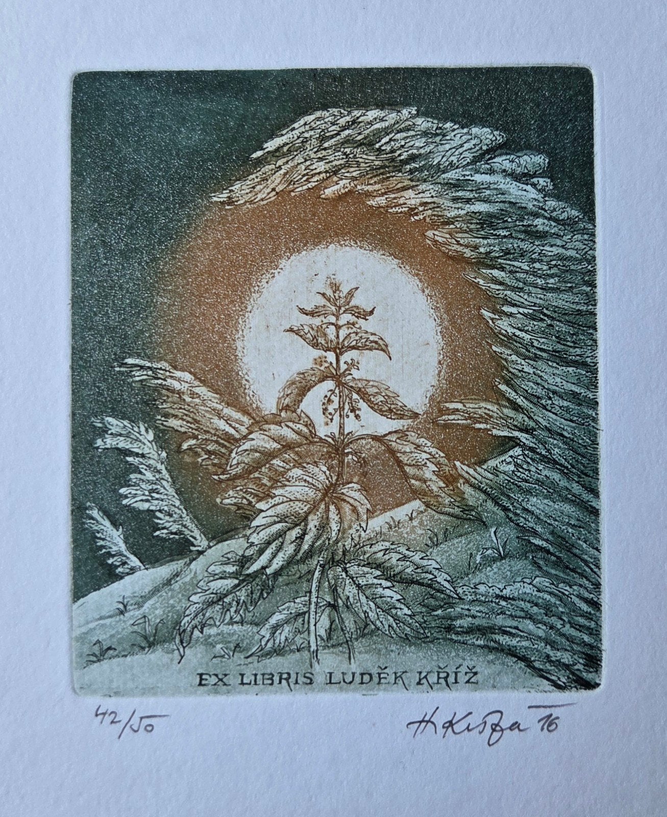 Exlibris / Ex libris H. Kisza, brandnetel, Verzenden
