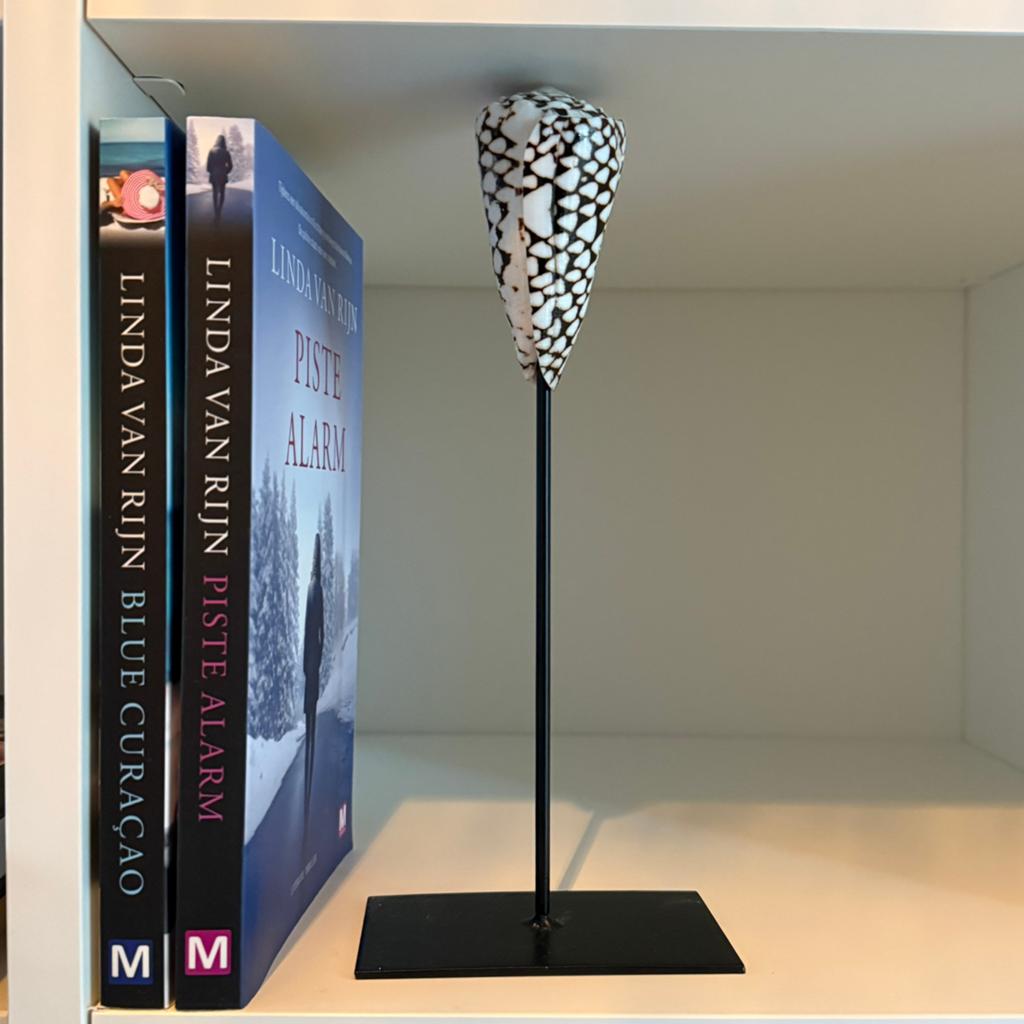 2 boeken Linda van Rijn, Ophalen of Verzenden, Zo goed als nieuw