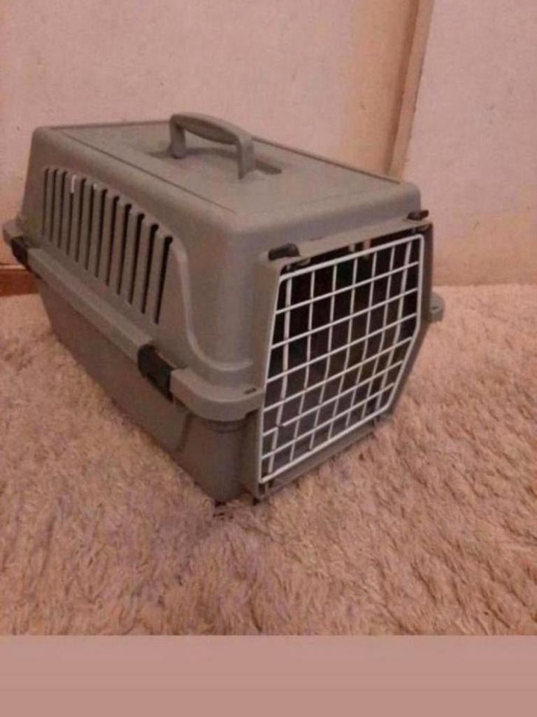Te koop! Poes/katten opbergbox/ kooi/Bak., Ophalen