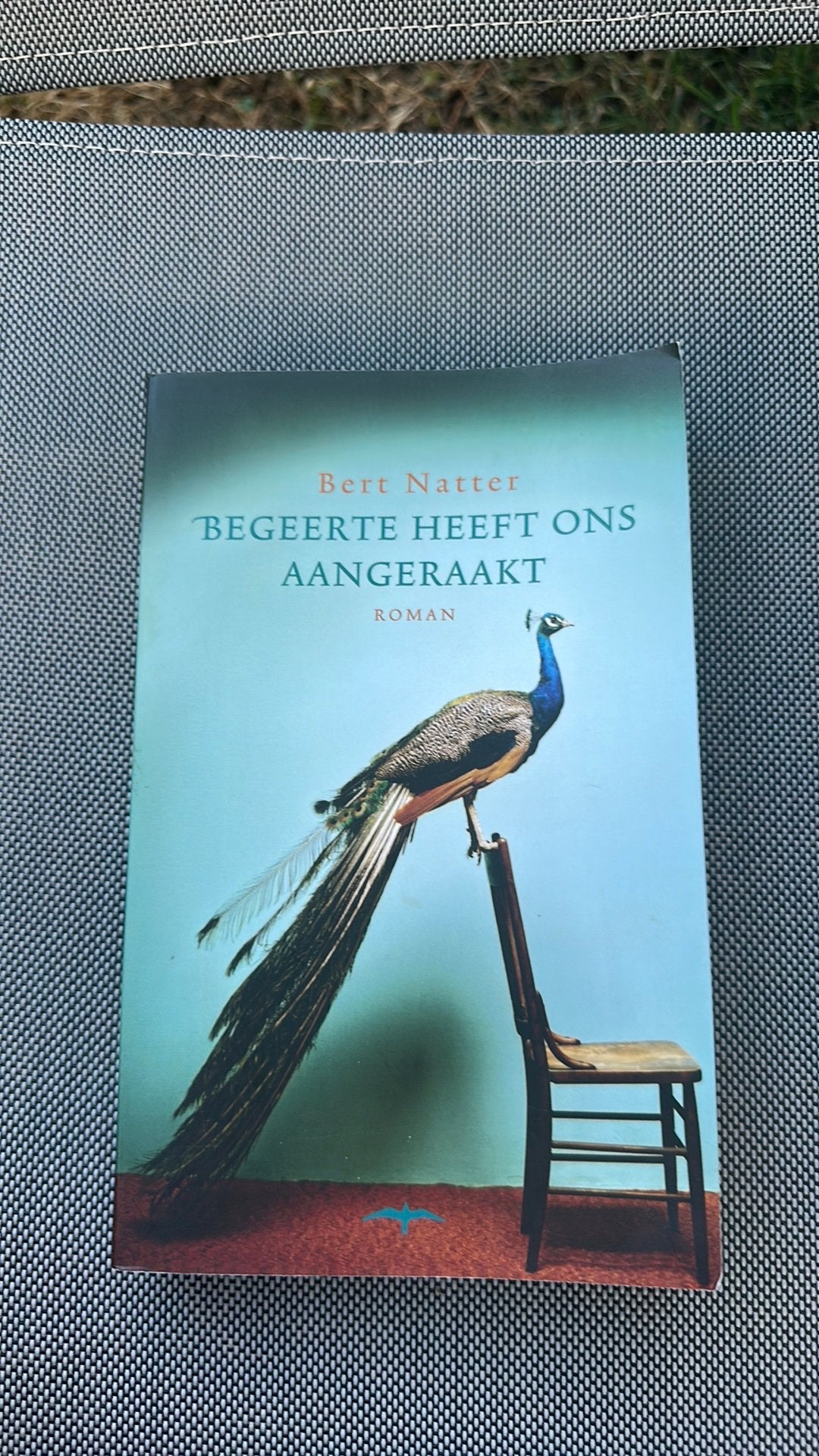 Bert Natter - Begeerte heeft ons aangeraakt, Ophalen of Verzenden, Zo goed als nieuw, Bert Natter