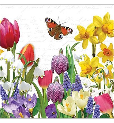 Ambiente servet spring feeling 33 x 33 cm 13319640, ., Nieuw, Papier of Karton, .