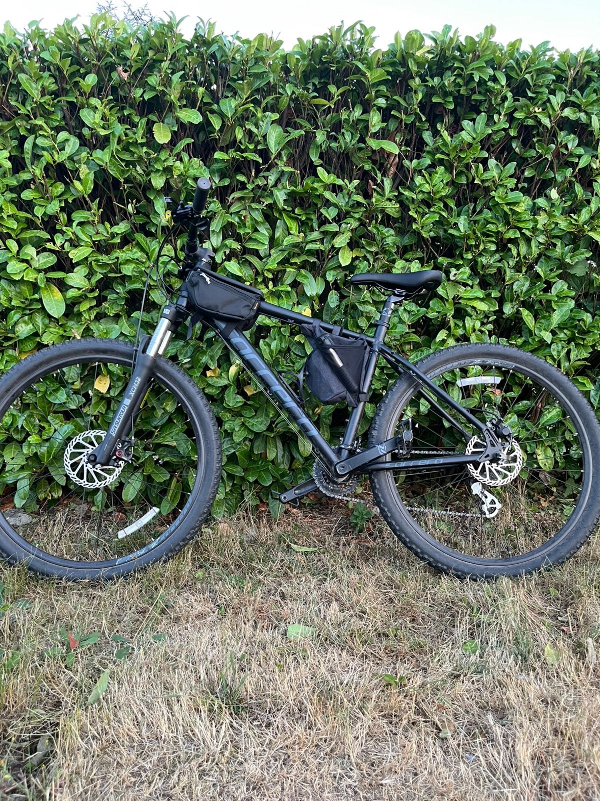 Carrera Mountainbike, Hardtail, Heren, 45 tot 49 cm, Zo goed als nieuw