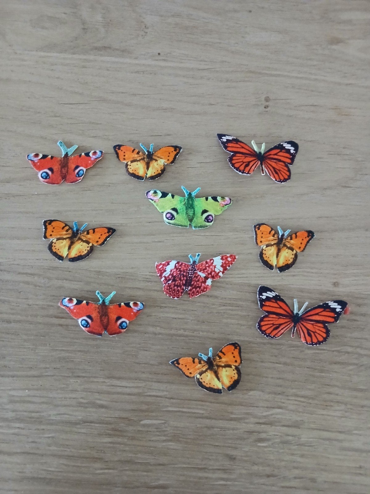 Set vlinders V, Hobby en Vrije tijd, Ophalen of Verzenden, Nieuw, Overige thema's
