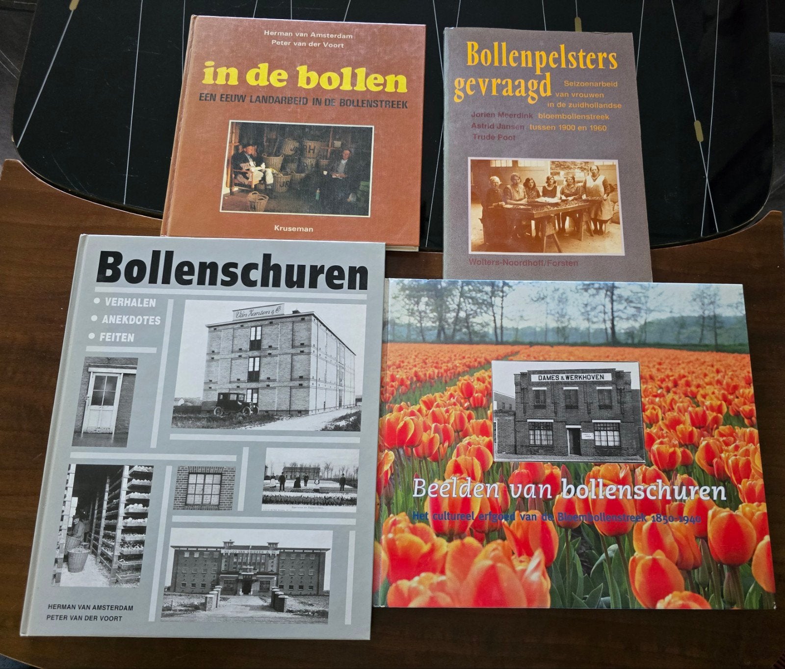 bollenschuren / bollenstreek / in de bollen / bollenpelsters, Ophalen of Verzenden