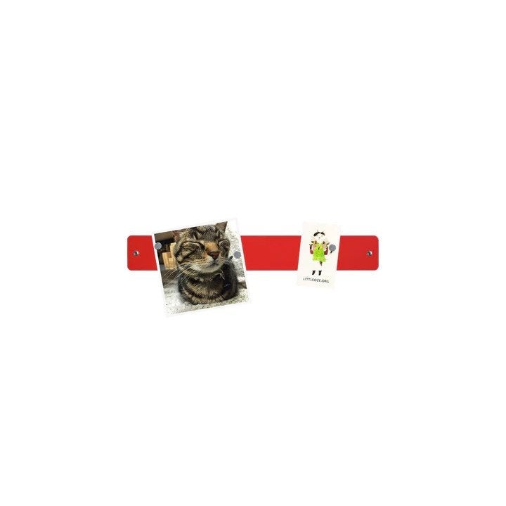 Square Dot Magnet board 38 x 38 cm rood + 15 magneten, Verzenden, Nieuw, Accessoires