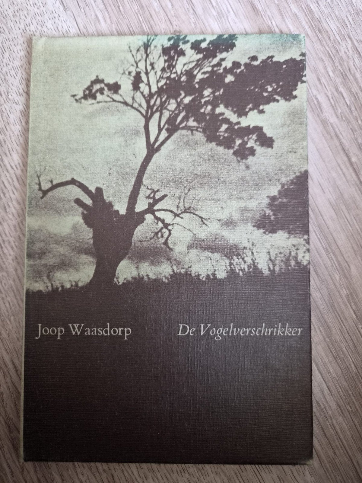 literair boekje: De Vogelverschrikker – Joop Waasd, Ophalen of Verzenden, Gelezen