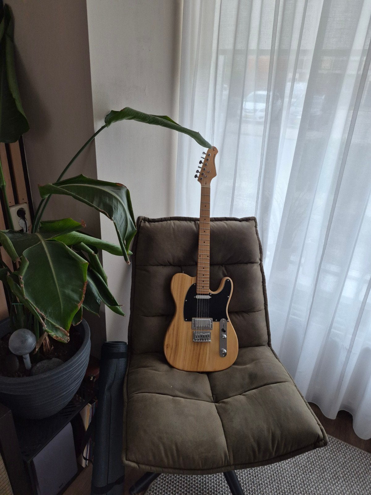 Stagg Telecaster SH, Ophalen, Gebruikt, Solid body, Overige merken