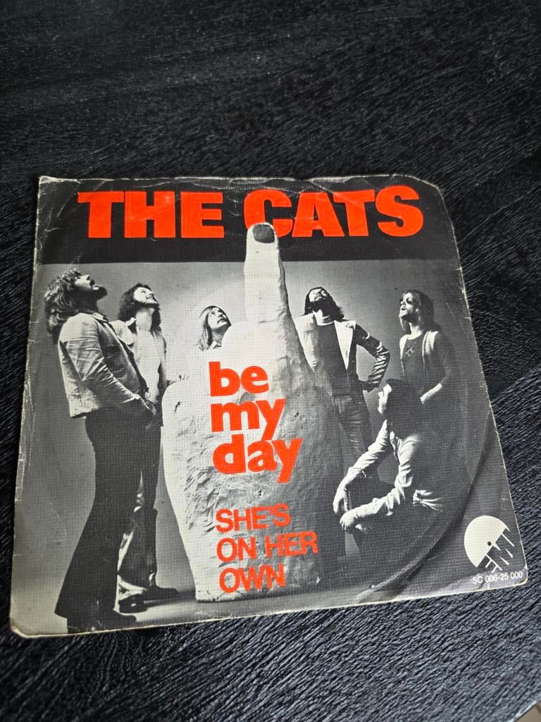 The Cats be my day Single, Cd's en Dvd's, Vinyl Singles, Ophalen of Verzenden, Gebruikt, Pop