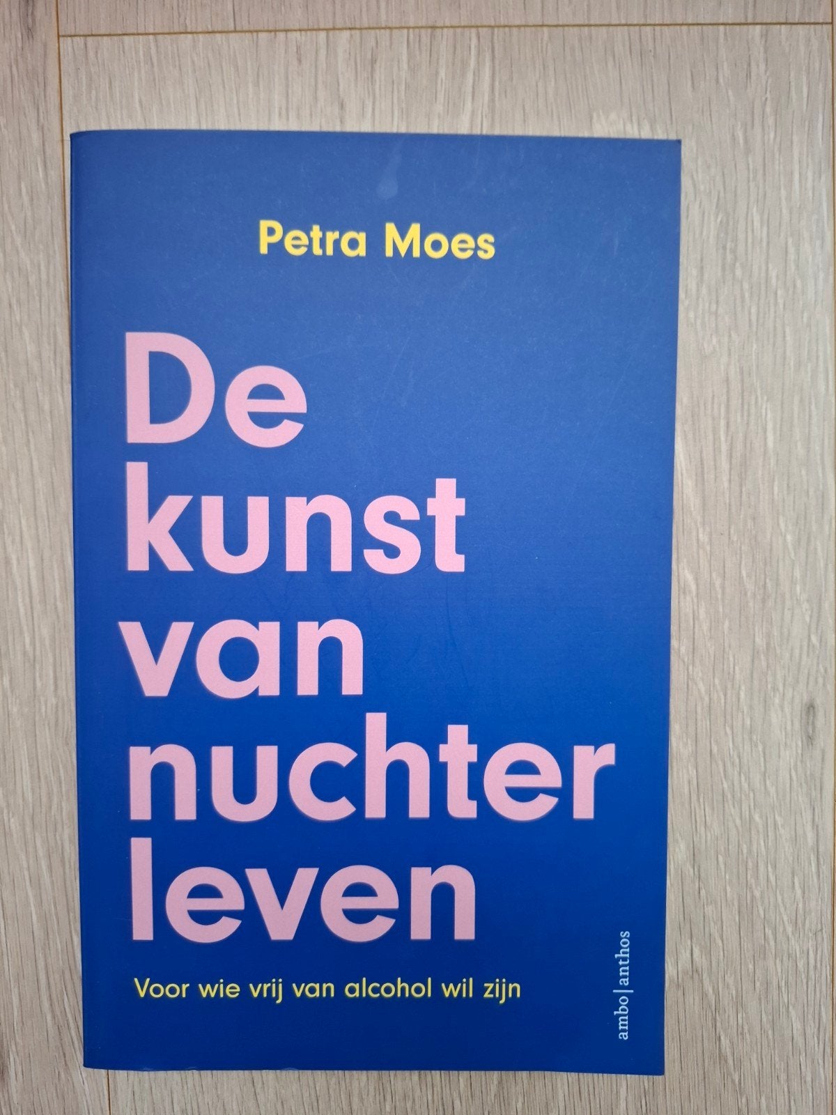 De kunst van nuchter leven - Petra Moes, Boeken, Ophalen of Verzenden, Zo goed als nieuw, Gezondheid en Conditie, Petra Moes