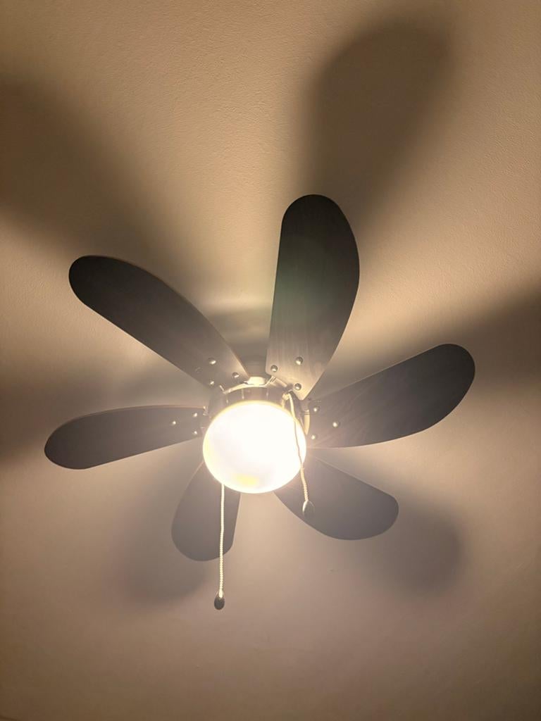 Bestron Plafondventilator met verlichting - Zwart, Ophalen, Zo goed als nieuw