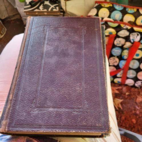 2 mooie oude boeken, Boeken, Ophalen of Verzenden, Gelezen, Europa