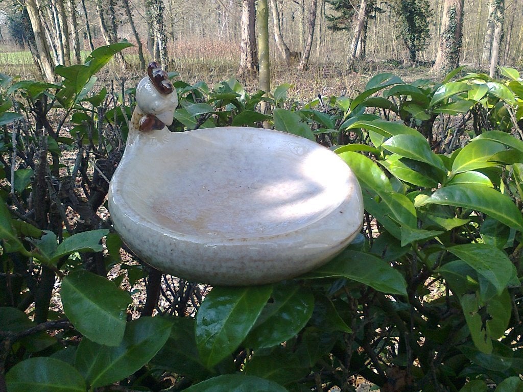 Origineel Vogelvoerbakje, Vogelwaterbakje Kip, Ophalen of Verzenden, Nieuw