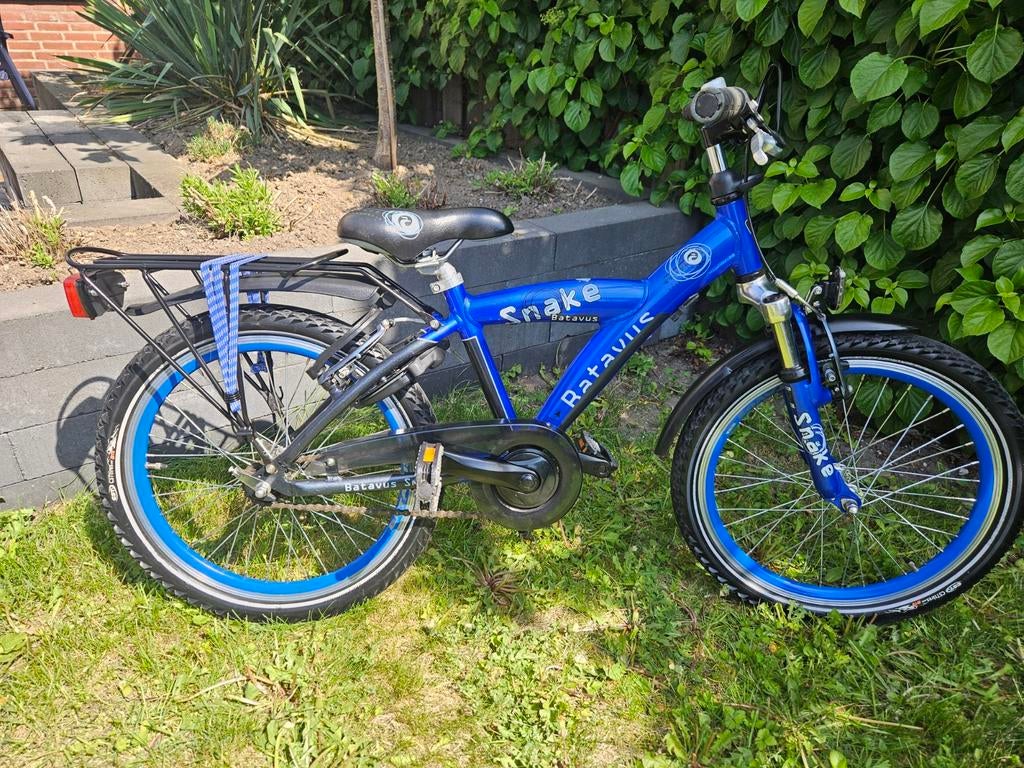 Batavus Snake  20 inch izgst, Ophalen, Batavus Snake Alpina Trial Yabber cube bulls loekie sparta, Zo goed als nieuw, Terugtraprem