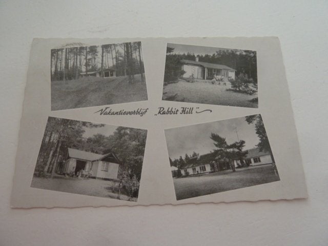 Nieuw Milligen 1964 Vakantieverblijf Rabbit Hill, Ophalen of Verzenden, 1960 tot 1980, Gelopen
