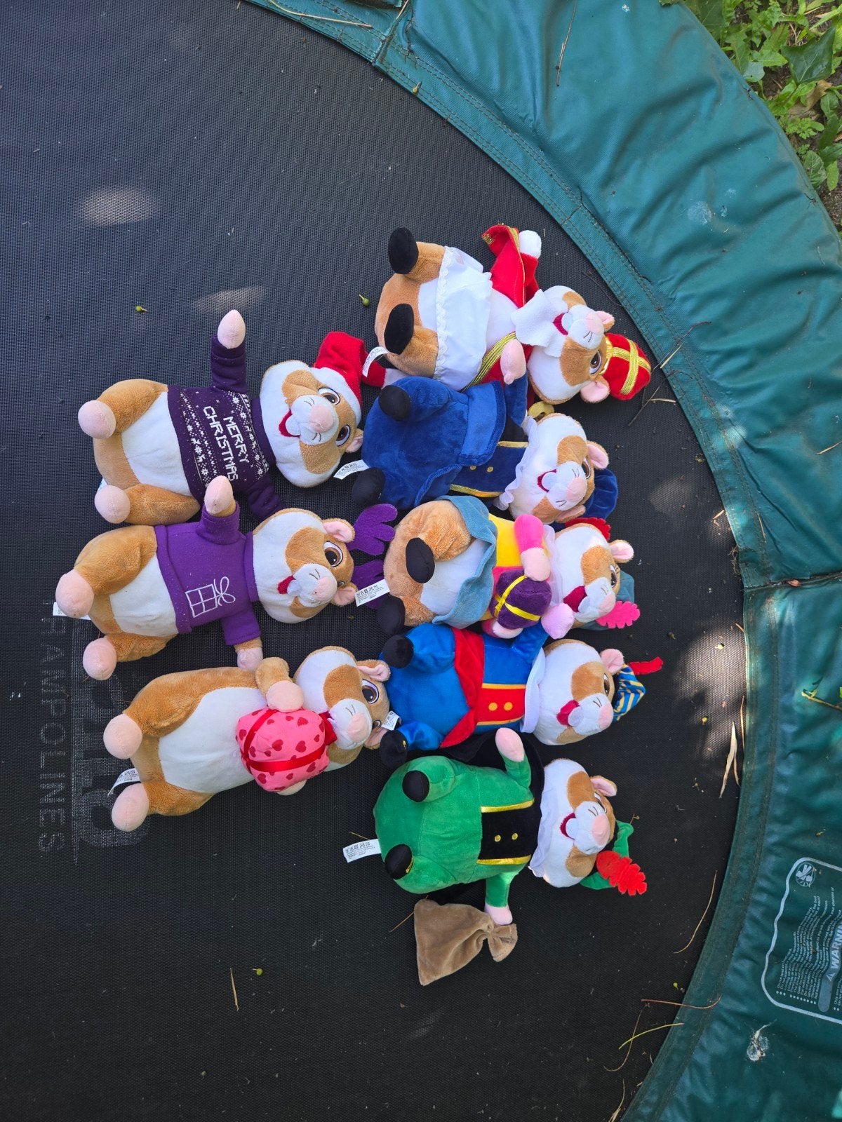 Super getraind hamster leger, Ophalen of Verzenden, Zo goed als nieuw, Overige typen
