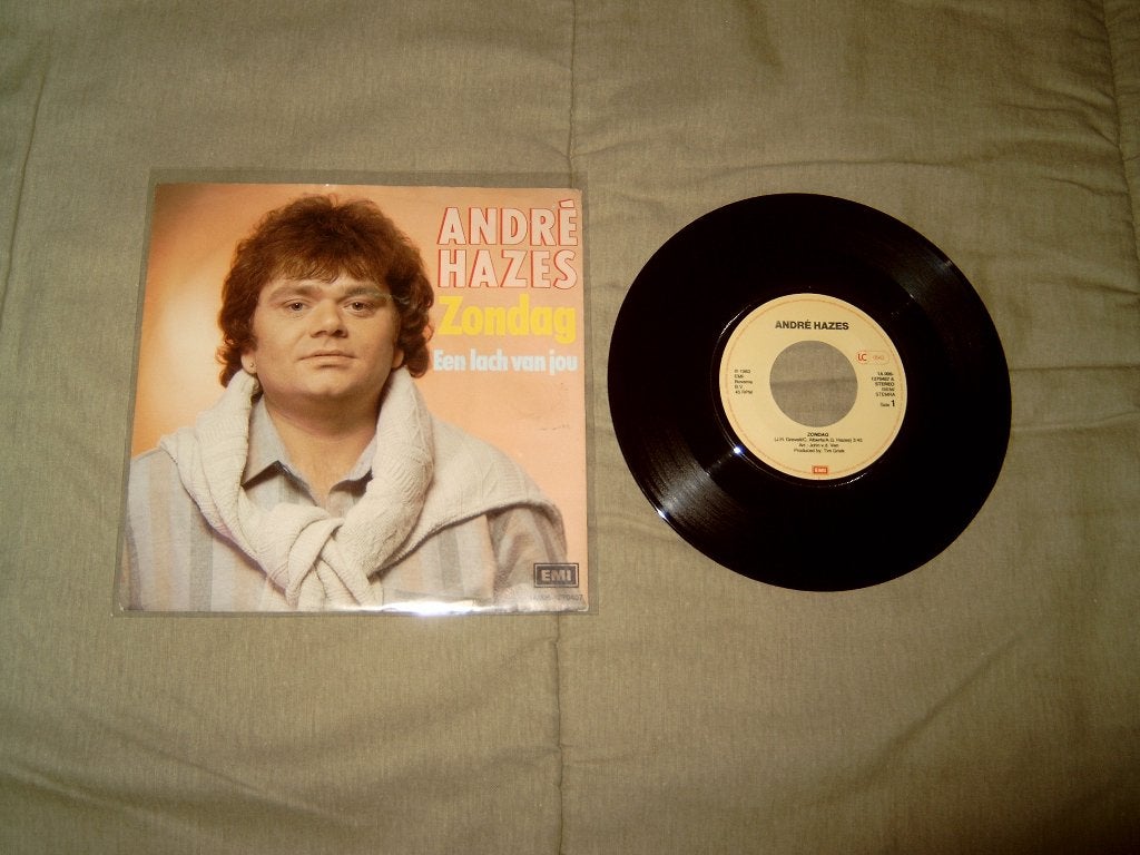 12 diverse Nederlandstalige singles te koop (14), Gebruikt, Overige genres, 7 inch, Ophalen of Verzenden