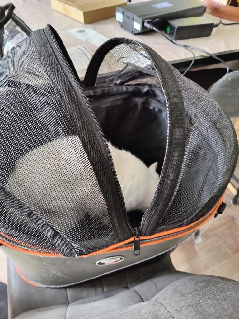 Doggyride cocoon xxl draagtas en fietsmand, Ophalen of Verzenden, Extra large of groter