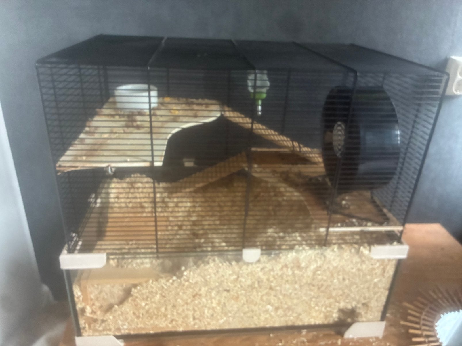 Hamster hok, Dieren en Toebehoren, Gebruikt, Minder dan 75 cm, Ophalen, Minder dan 60 cm