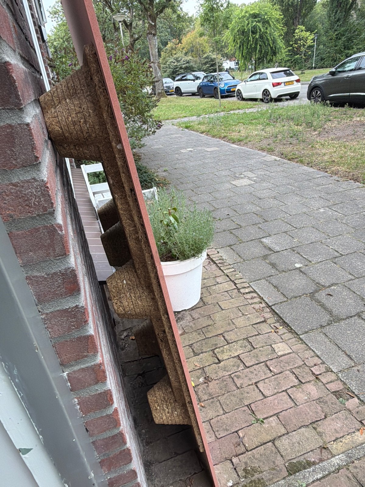 Pallet, Ophalen, Gebruikt, Hout, 20 tot 50 mm