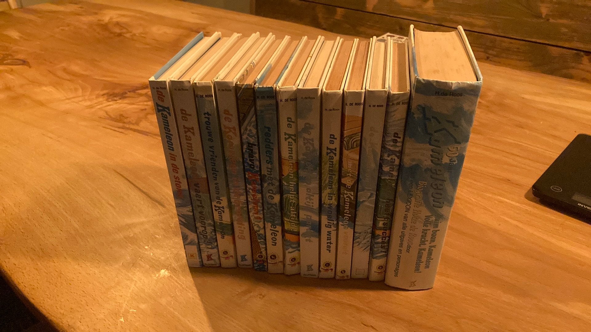 Kameleon boeken, Boeken, Ophalen of Verzenden, Zo goed als nieuw