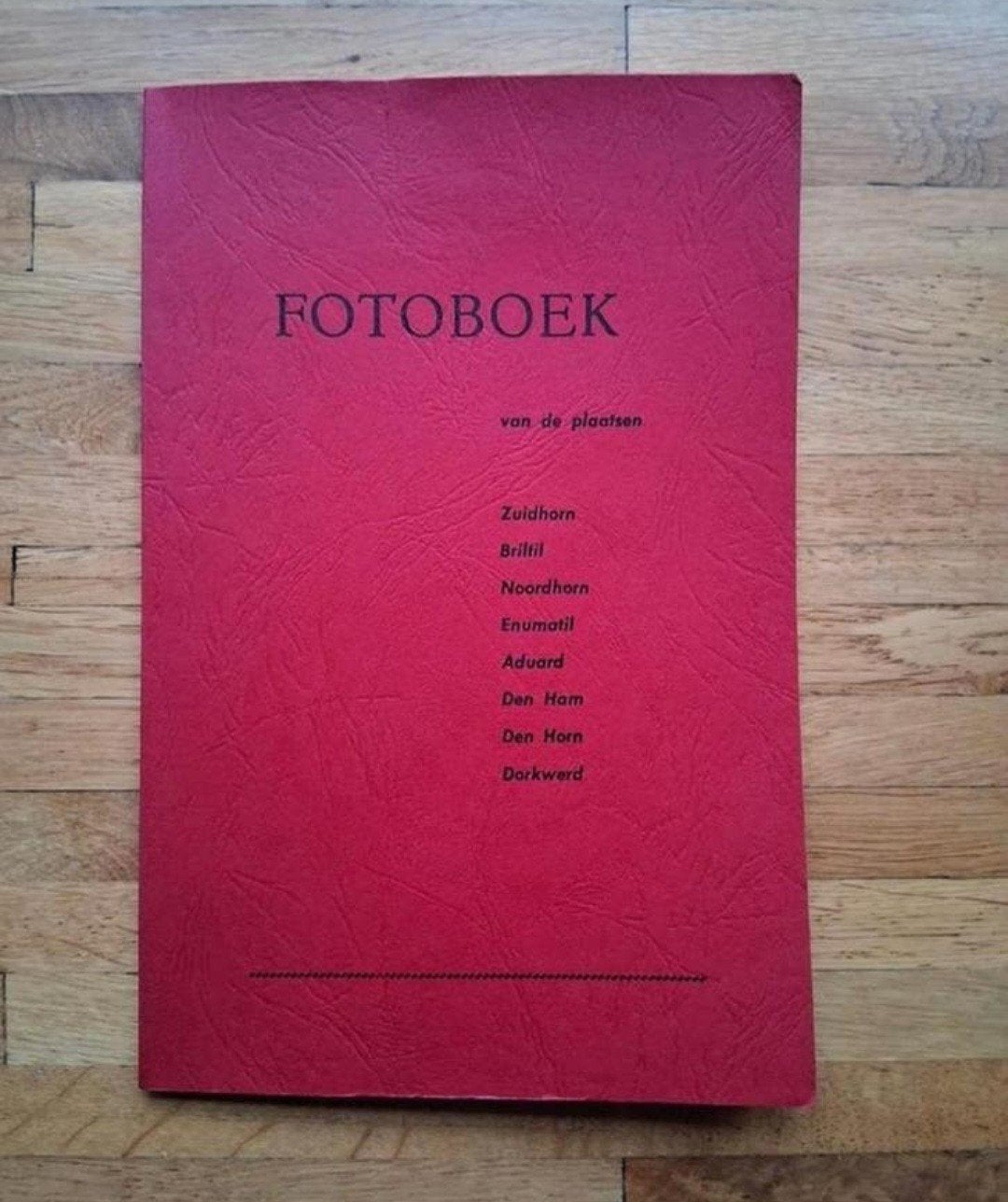 Fotoboek
van de plaatsen:
Zuidhorn, Briltil, Noordhorn, Enum, Ophalen of Verzenden, Zo goed als nieuw