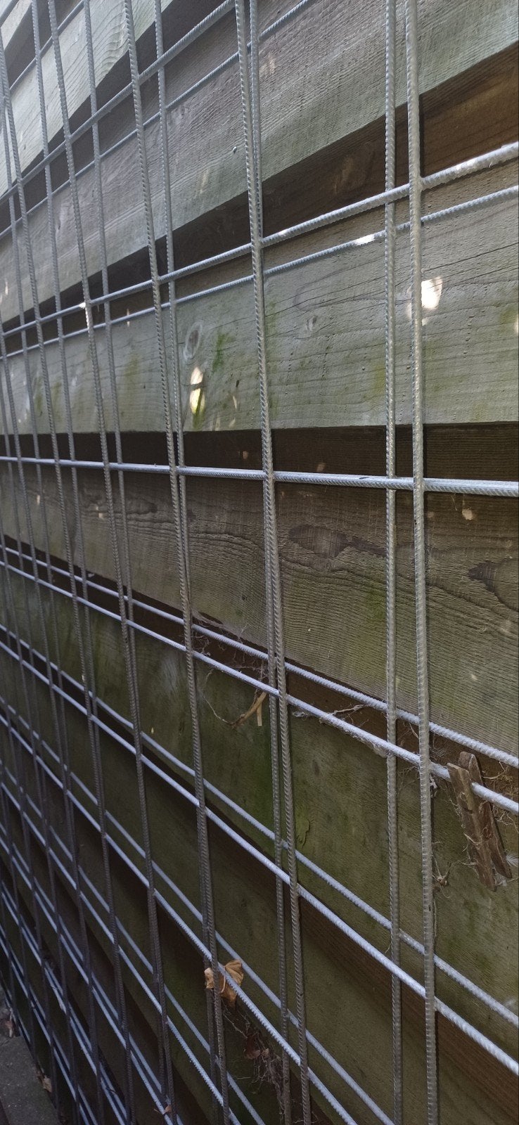 één of twee stuks : Verzinkt Betongaas / Bouwstaalmat 3x2m, Ophalen, Nieuw, 250 mm of meer, Overige typen
