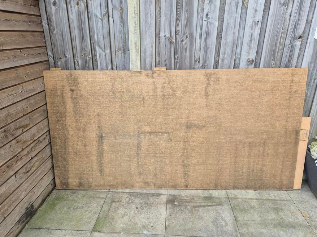 Grote plaat hout 244x122 cm, 2 cm dik, Doe-het-zelf en Verbouw, Hout en Planken, Ophalen of Verzenden