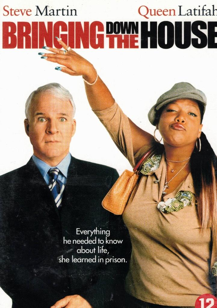 Bringing Down The House - Adam Shankman ( Steve Martin ), Vanaf 12 jaar, Ophalen of Verzenden, Zo goed als nieuw, Romantische komedie