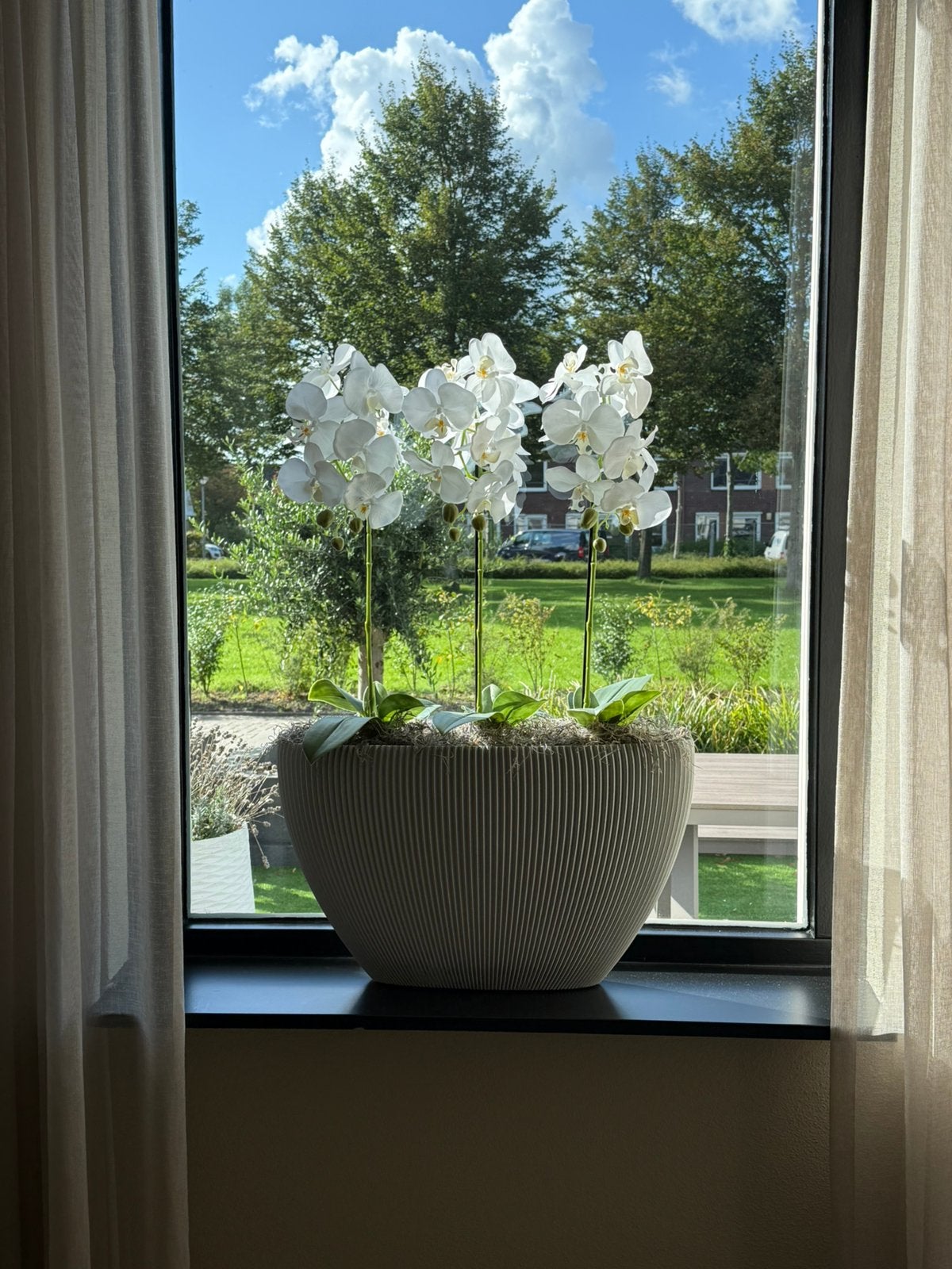 Capi bloempot Groove ovaal met 3 kunst orchideeën, Huis en Inrichting, Ophalen, Halfschaduw, Minder dan 100 cm
