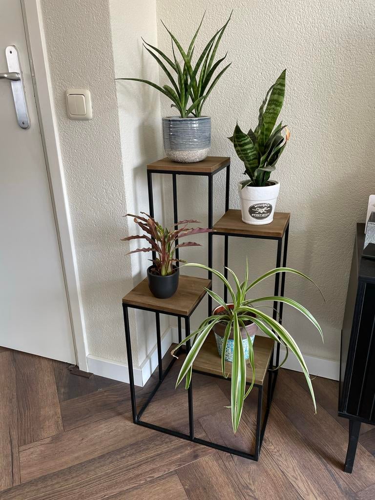 Plantenstandaard 4 Etages Hout Metaal - Plantentafel, Ophalen, Zo goed als nieuw