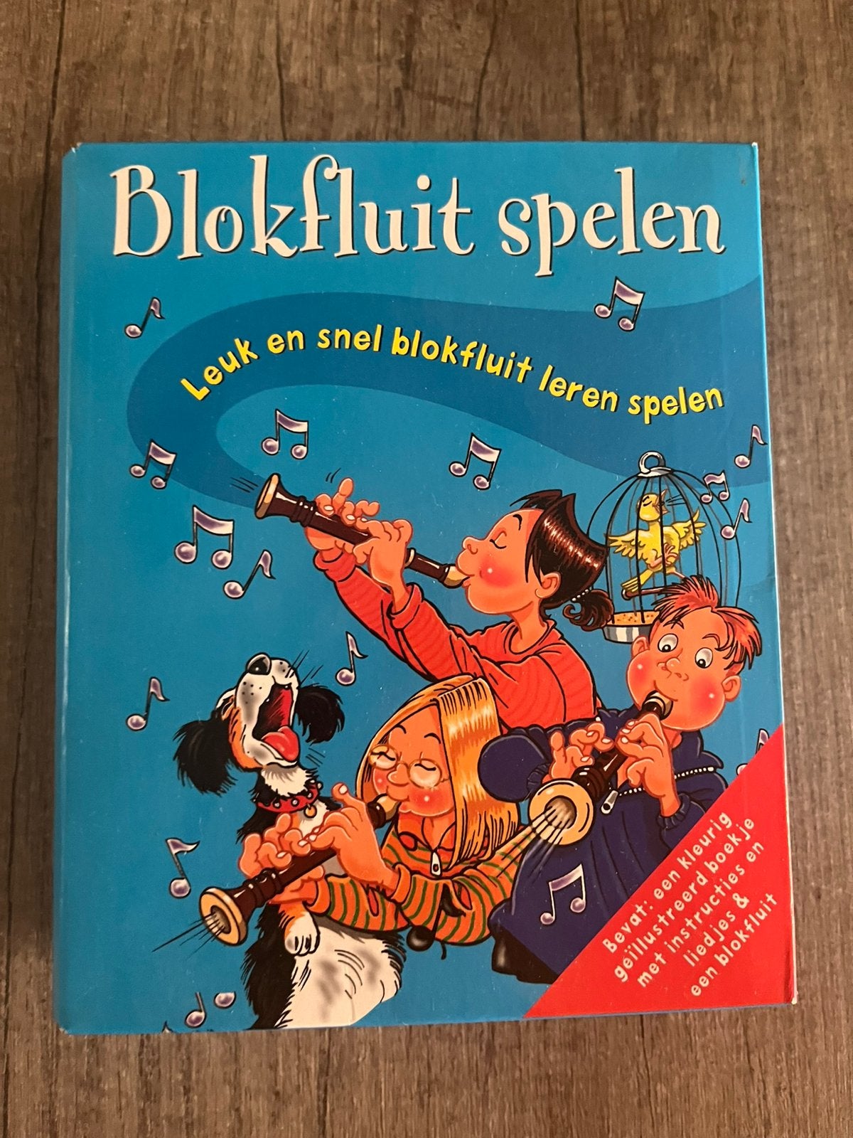Blokfluit met leerboek., Muziek en Instrumenten, Ophalen of Verzenden, Zo goed als nieuw, Sopraan of Sopranino