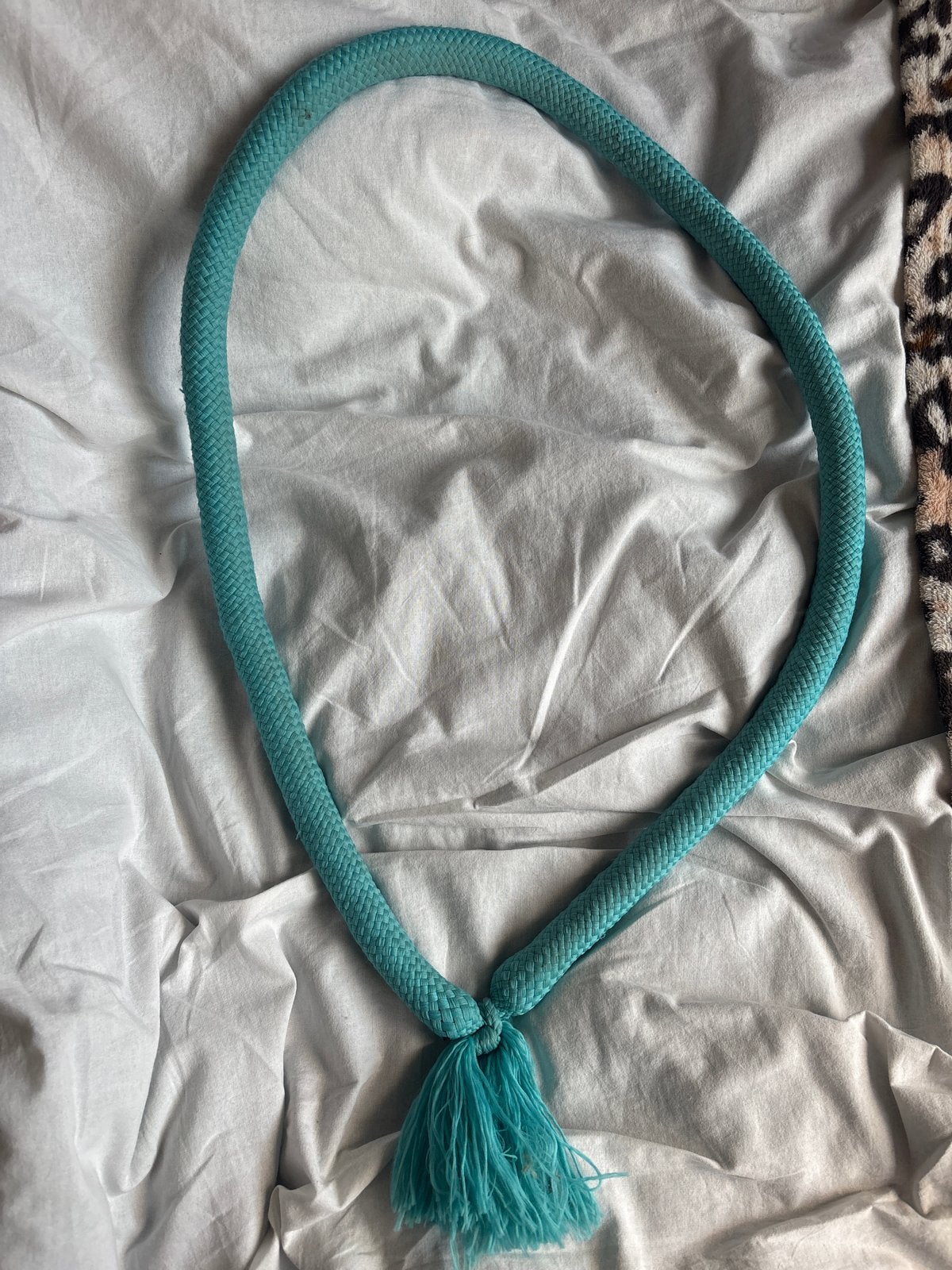Paarden Neckrope Turqoise, Gebruikt, Recreatie, Harry's Horse, Blauw
