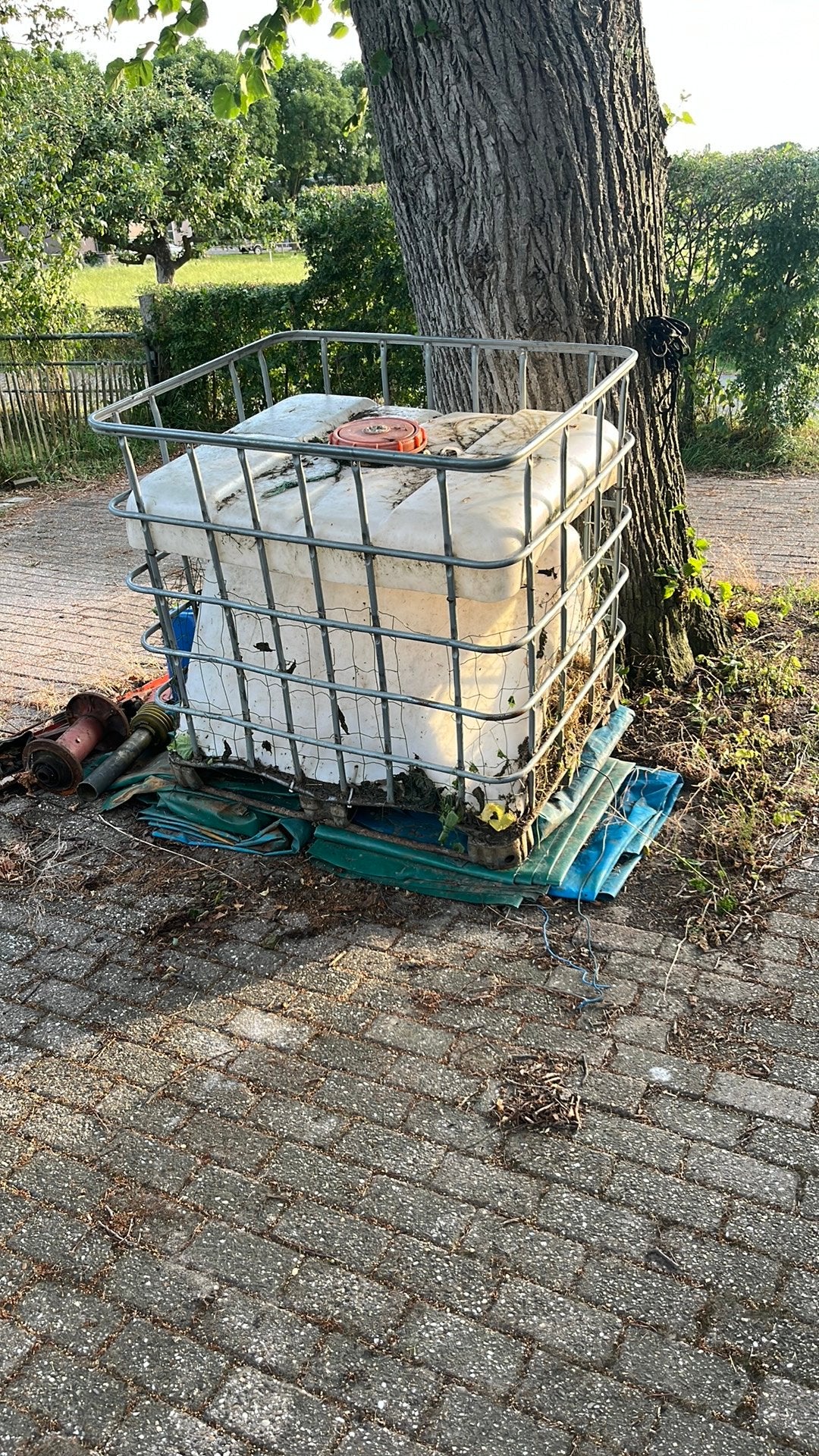Ibc hooiruif schapen, paarden enz.