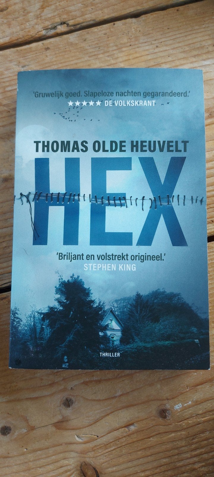HEX - Thomas Olde Heuvelt (Thriller), Boeken, Gelezen, Thomas Olde Heuvelt, Ophalen of Verzenden, Nederland