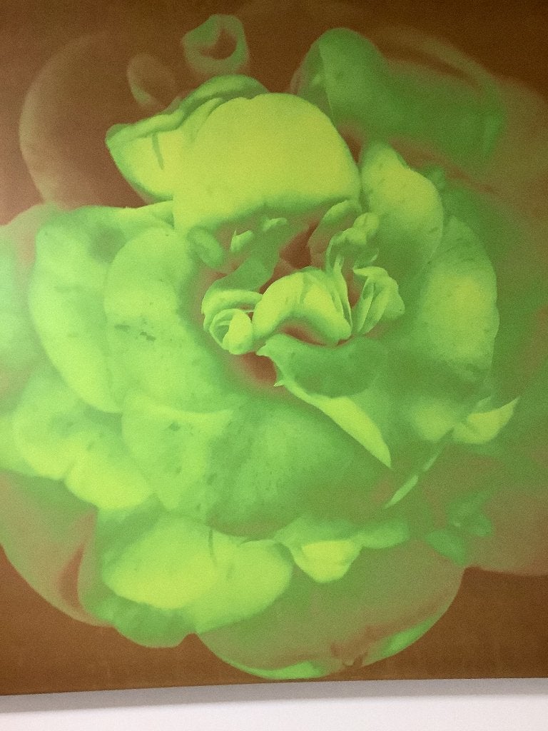 Schilderij groene bloem, Ophalen