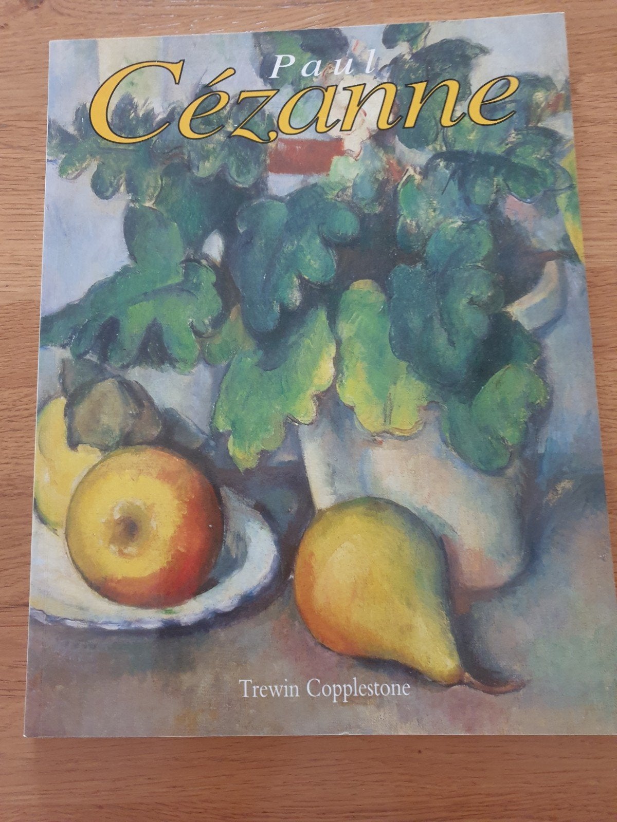 Kunstschatten Paul Cézanne - In nieuwstaat, Boeken, Ophalen of Verzenden
