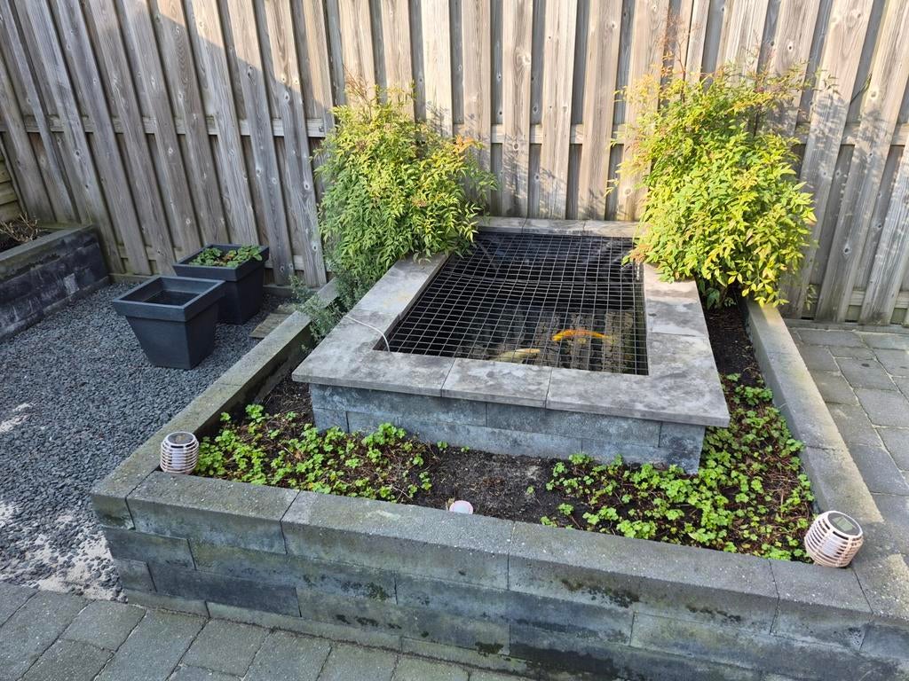 Complete vijver met 2 kois, pomp en filter, Tuin en Terras, Vijvers, Ophalen, Gebruikt