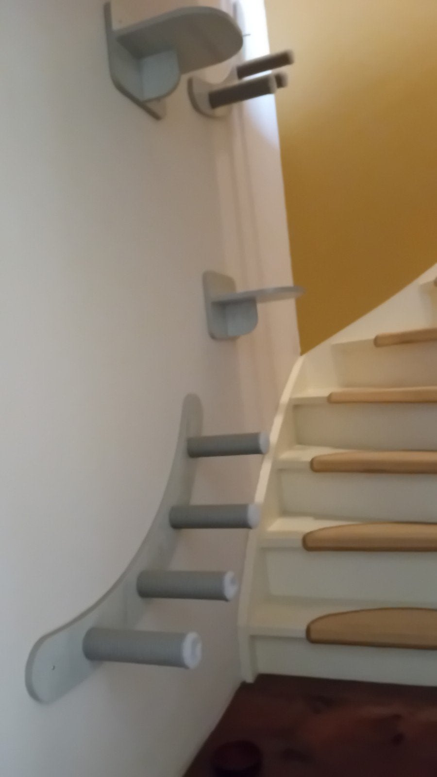 Katten klimmuur klimwand klimelementen nieuw, Ophalen of Verzenden, Nieuw