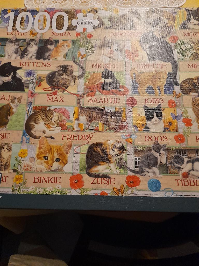 PUZZEL  POEZEN, Ophalen of Verzenden, 500 t/m 1500 stukjes, Zo goed als nieuw, Legpuzzel
