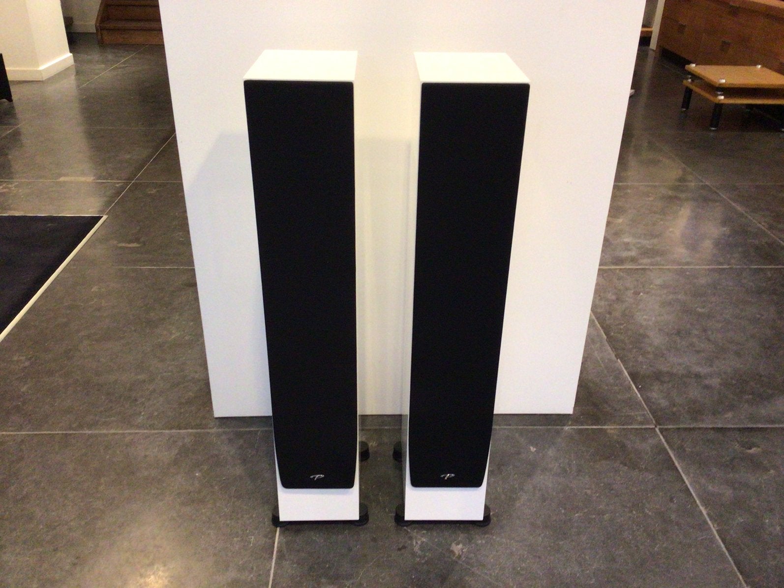 Paradigm monitor 3000F wit