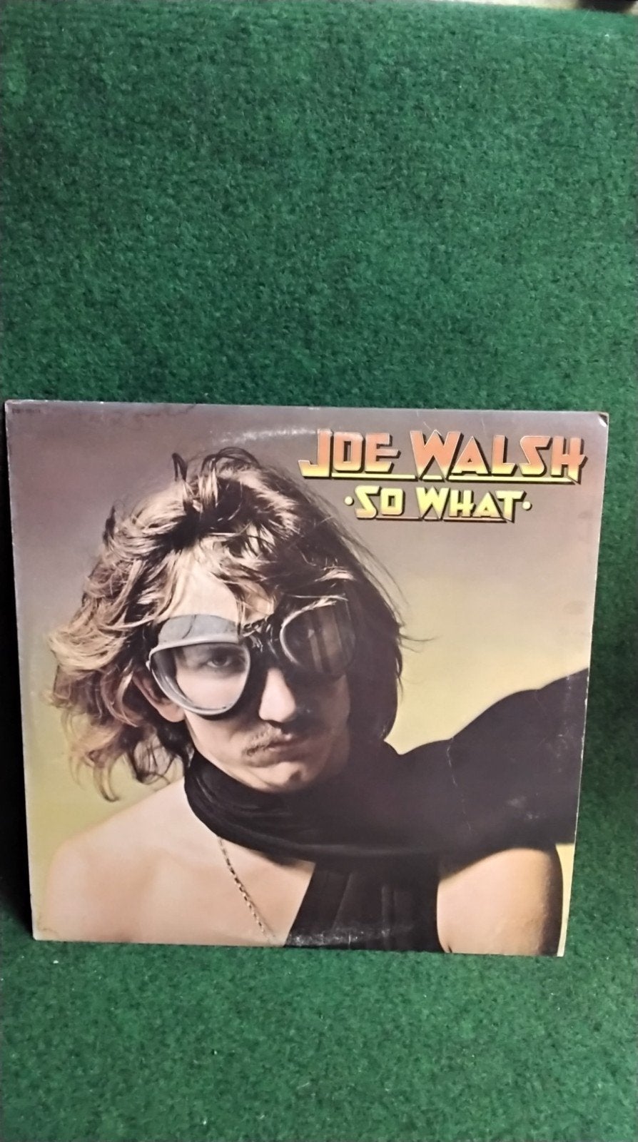 JOE WALSH, Cd's en Dvd's, Ophalen of Verzenden, LP
