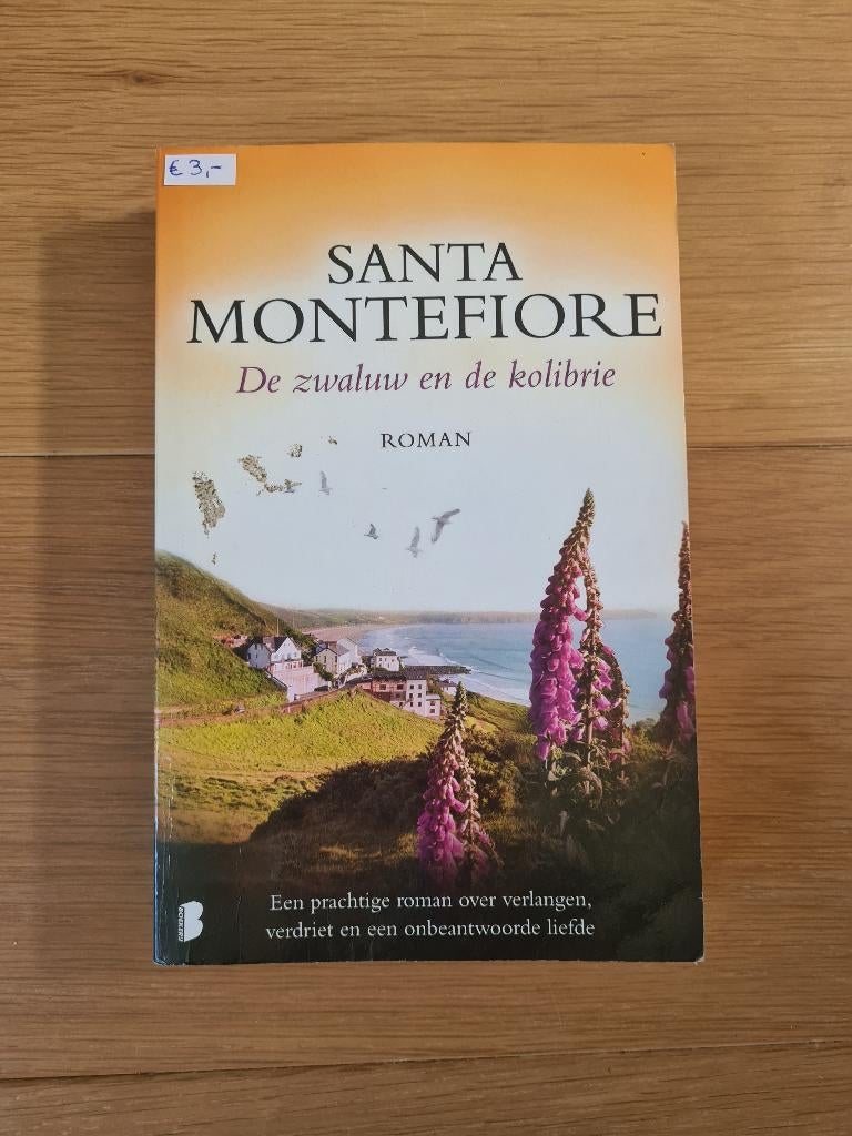 De zwaluw en de kolibrie - Santa Montefiore, Ophalen of Verzenden, Gelezen, Santa Montefiore