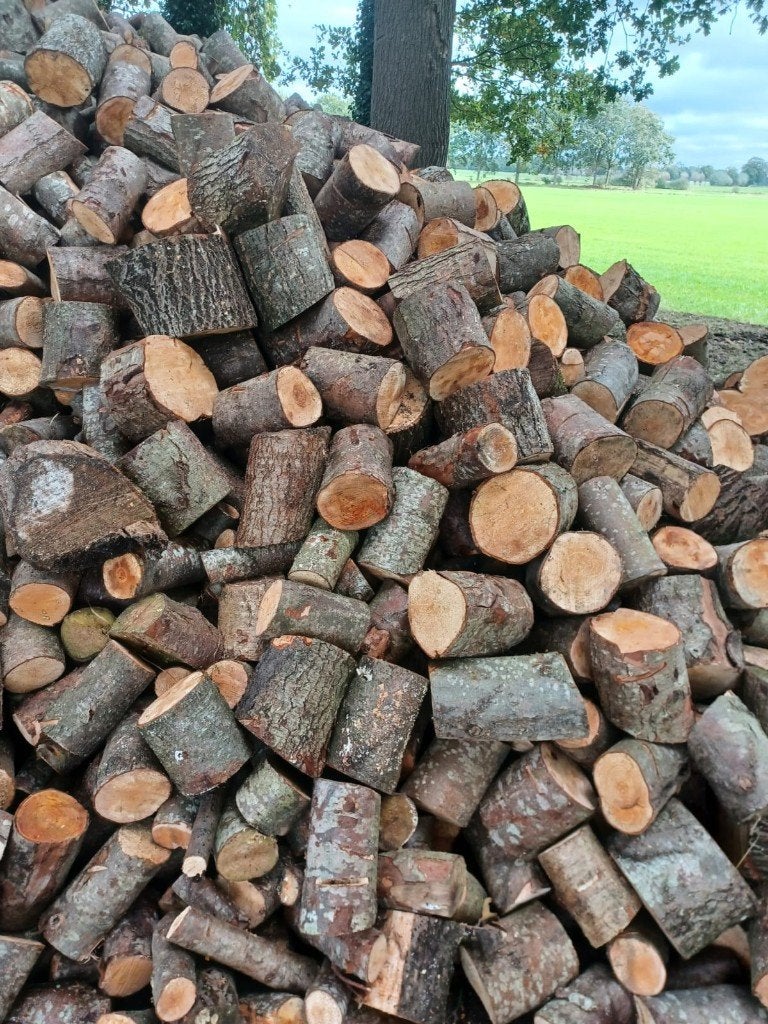 Elzen hout, 3 tot 6 m³, Ophalen, Elzenhout, Blokken