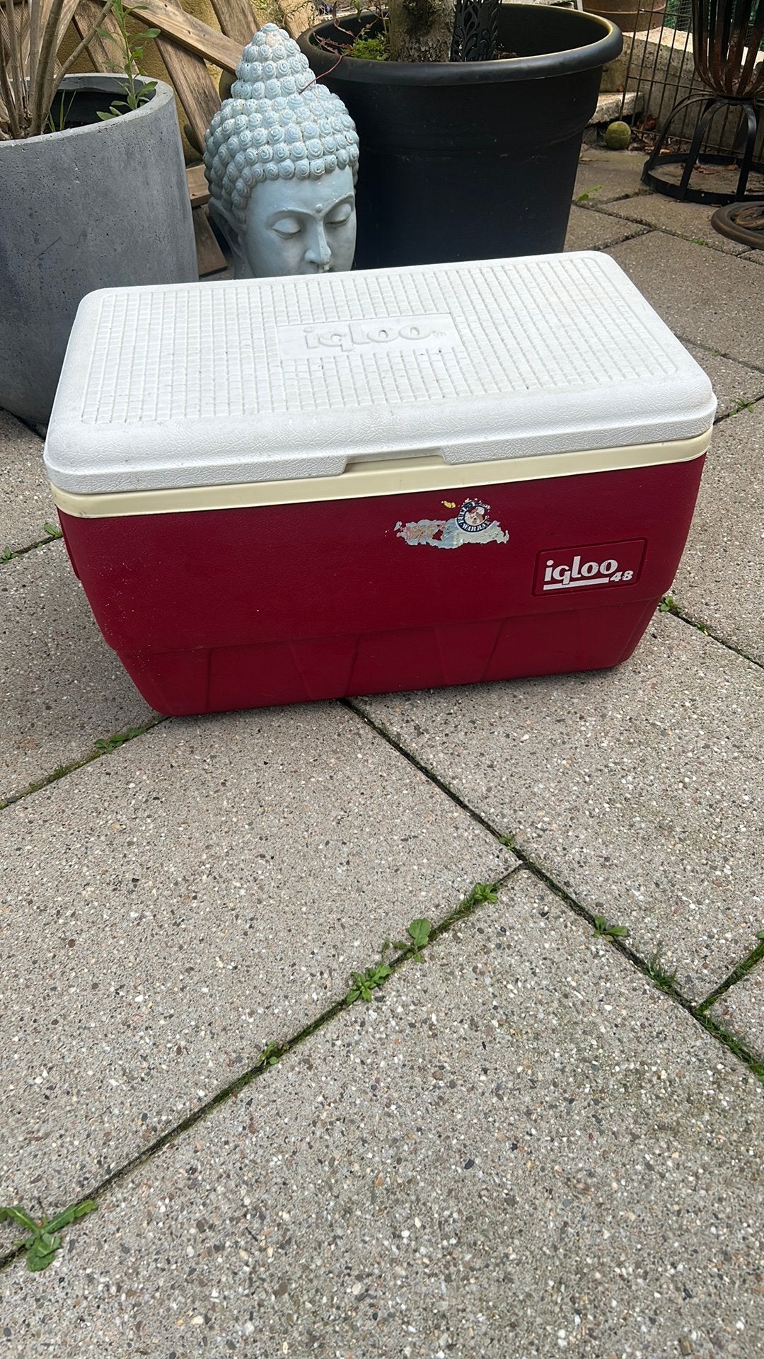 Grote koelbox Igloo 48 liter vintage, Ophalen of Verzenden, Gebruikt